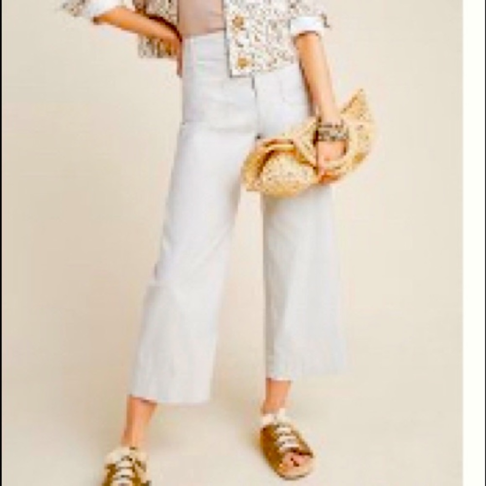 Anthropologie Wide Leg Trousers size 29 - color “sand”.